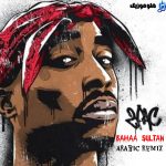 Arabic remix