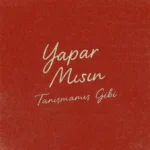 YAPAR MISIN?