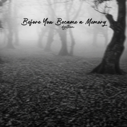 Before You Became a Memory
