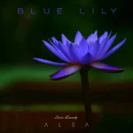 Blue Lily