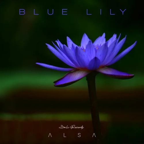 Blue Lily