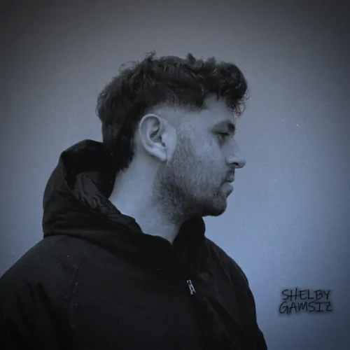 Gamsız